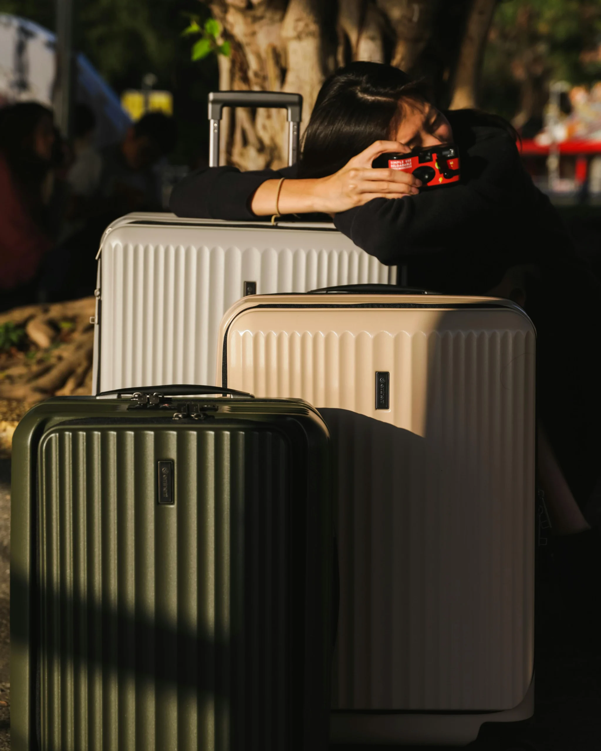 luggage traveler